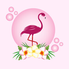 Жемчужный фламинго