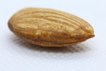 almond seed on white background