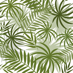 Naklejka na ściany i meble pattern with tropical leaves of monstera, palm and bamboo green on a white background, color vector illustration, design, decoration, print, texture, banner