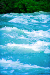 Obraz premium どこえ