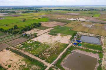 Scenic view of green rice fields in the Cambodia