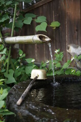 Japanese garden water bowl and ladle