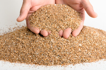 Crushed seashell spills out of the palms of a person, a concept of a feed additive for birds. Close-up, neutral background.
