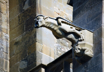 Carcassonne cathedral gothic water spout, France, Provence, Carcassonne cathedral Carcassonne cathedral gothic water spout in a sunny day, dark and light strong contrast on the cathedral white stone, 