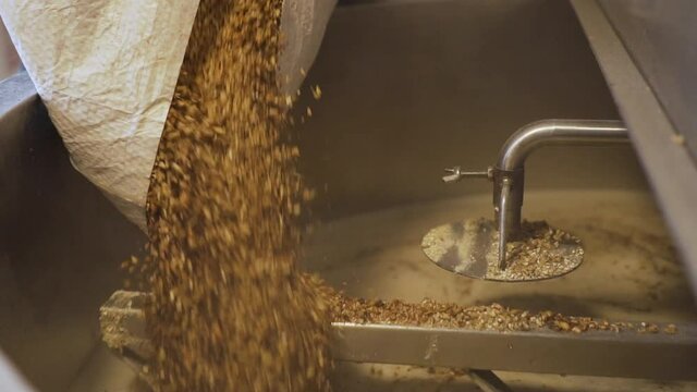 Pouring A Bag Of Malt Grains Into The Crushing Machine In A Brewery For Milling - close up slowmo