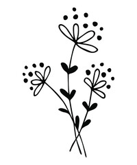 Obraz premium Botanical summer and spring flowers and leaves. Black and white illustration. Vector.