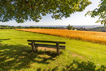 Along the panorama path in Heiligenberg