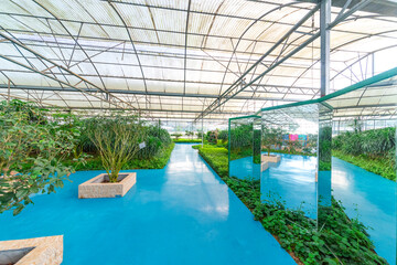 Modern greenhouses house agricultural plants with blue walkways.