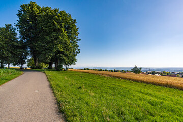 Along the panorama path in Heiligenberg