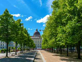 Lustgarten mit der neunen Dachkuppel am Humboldt Forum