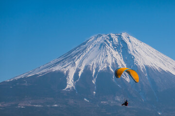 富士山とパラグライダー。2月の朝霧、井の頭エリアにて撮影