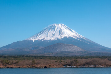 Fototapeta na wymiar 快晴の青空に冠雪した富士山　冬　2月