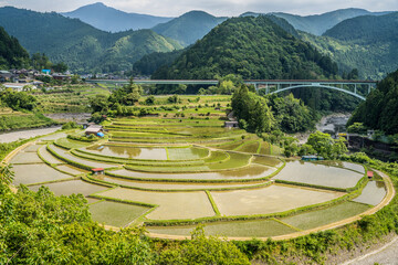 日本の棚田百選　和歌山県のあらぎ島