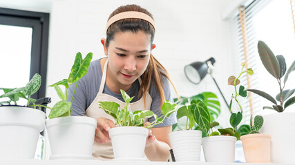 Attractive Young Asian woman taking care the household plants for Gardening at Home concept
