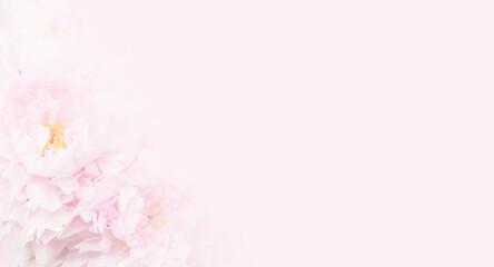 Nice pink floral background for beauty salon, spa or beauty treatments, rejuvenation or intimate...