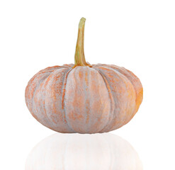 pumpkin isolated on white background