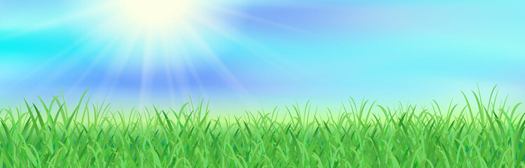 Fototapeta na wymiar 夏の太陽と勢いよく育つ草