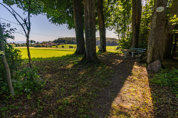 Along the panorama path in Heiligenberg