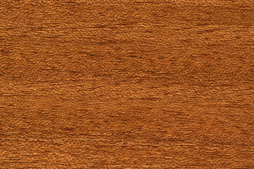 texture of an expensive tree