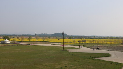 Obraz premium parking lot of cars