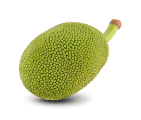  jack fruits isolated on white background