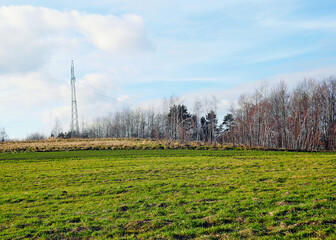 rural landscape with a tree