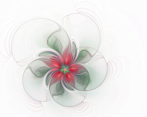 Fractal flower on a white background