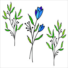Botanical flower of three branches. vector