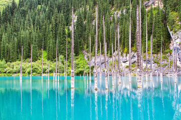 Kaindy Lake in Tien Shan mountain, Kazakhstan.