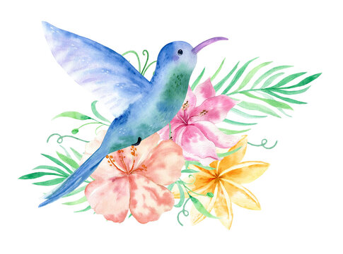 Watercolor bouqet with tropical flowers, leaves and hummingbird. Hawaiian exotic illustrations for greeting card, wedding, wallpaper