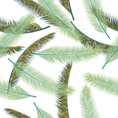Fototapeta na wymiar Tropical feather fluff vector seamless ornament. Chic fashion print. Tribal boho feather fluff textile print seamless pattern.