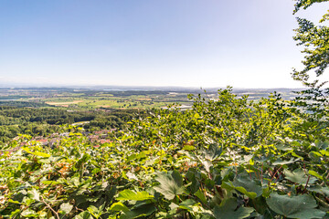 Along the panorama path in Heiligenberg