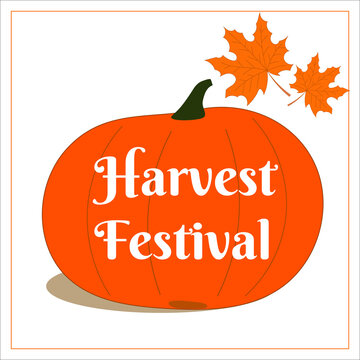 Vector greeting card harvest festival with orange pumpkin, muple leaves and greeting sign.