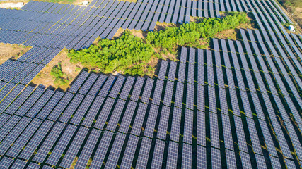 Aerial photography of modern large-scale photovoltaic solar panels.