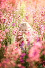 Cute blonde girl in a pink dress walks in a flowering field at sunset. Pink flowers (viscaria vulgaris) on meadow, flowers field. Russian rural summer nature. Countryside, village in Russia. 