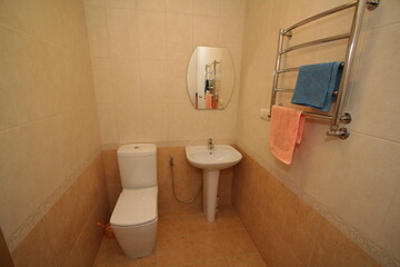 toilet bowl and toilet paper