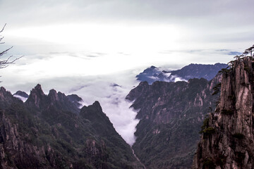 Obraz premium Wonderful and curious sea of clouds and beautiful Huangshan mountain landscape in China.