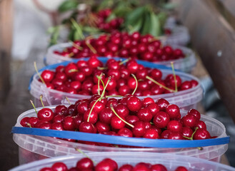 Cherry buckets like this year's harvest