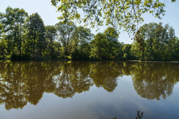 Fototapeta na wymiar Pond with trees mirroring and clear sky in Pszczyna town in Poland