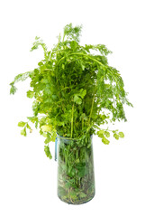 Bunches of fresh parsley, dill and other greens in the transparent glass jar on a white background