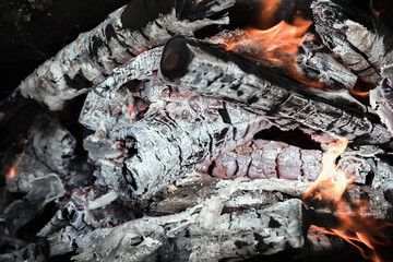 Coals from a campfire close-up burn with fire as a background