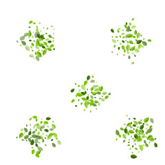 Fototapeta premium Green Leaf Realistic Vector Illustration. 