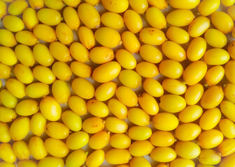 Top view medicinal neem fruits full frame shot