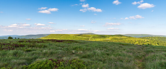 View from Mravenecnik hill near Dlouhe strane in Jeseniky mountains in Czech republic