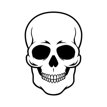 Illustration of skull. Design element for logo, emblem, sign, poster, card, banner. Vector illustration