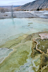 Minerva Terrace, Yellowstone National Park, Wyoming, USA