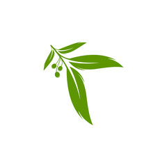 Eucalyptus leaves logo vector template design