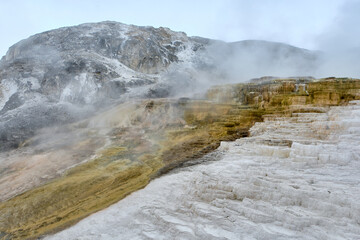Minerva Terrace, Yellowstone National Park, Wyoming, USA