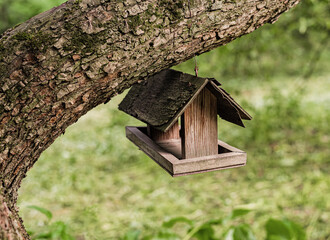 wooden birdhouse on a tree in summer