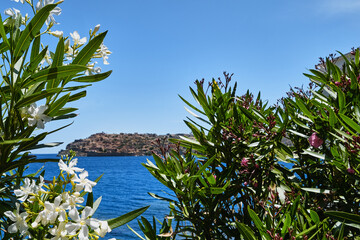 View of Spinalonga island and Venetian fortress, blue sea, white and pink oleander bushes in full...